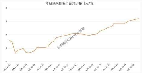 價(jià)格暴漲374%，新一輪“雞周期”來了？苗雞市場異動(dòng)背后的邏輯與展望